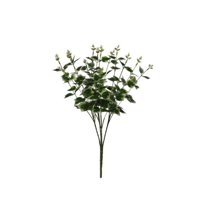 MAZZO EDERA VARIEGATED 50CM